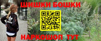 соль ск Дубна