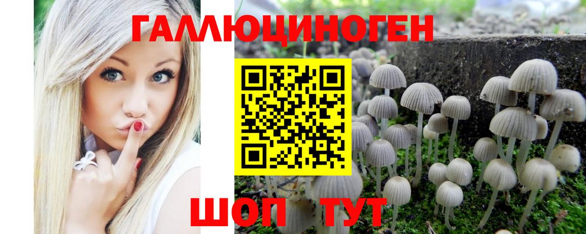 Луховицы  Псилоцибиновые грибы Magic Shrooms  Вход с VPN 