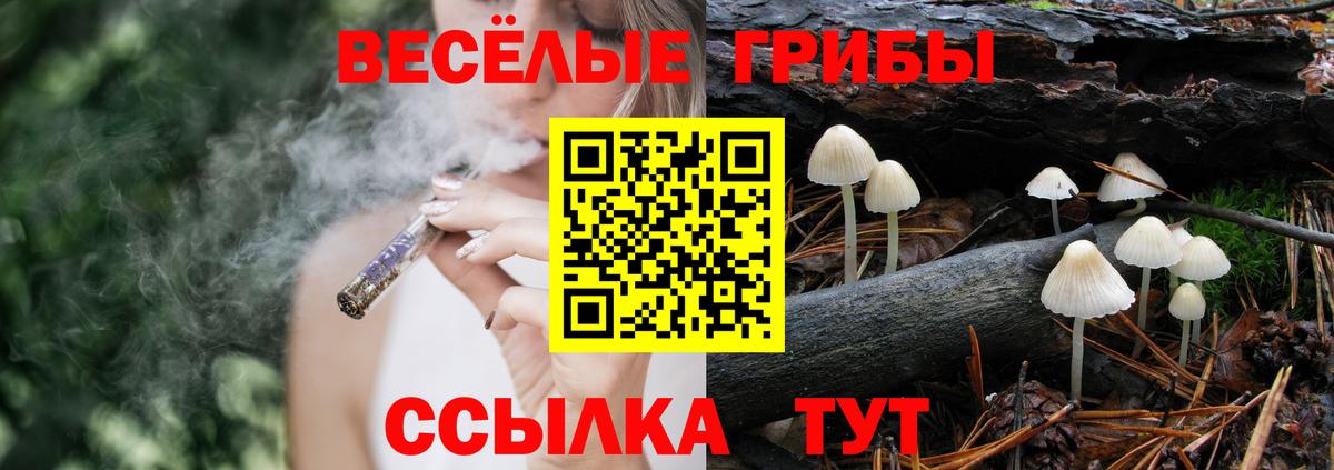Псилоцибиновые грибы Cubensis Луховицы